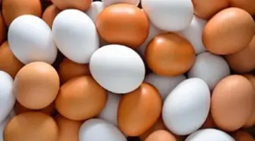 البيض الأبيض والأحمر بـ110 جنيهات اليوم في سوهاج